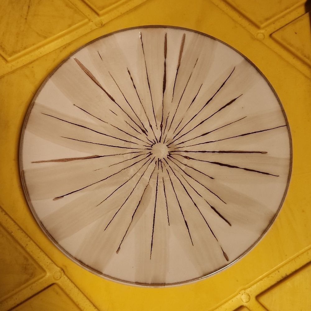 Pier 1 Sanctuary Salad Plate 8 3/8"